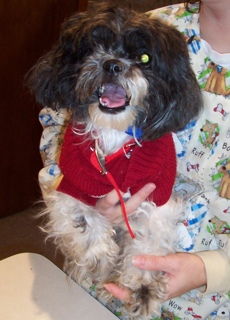 Testimonials Okaw Veterinary Clinic